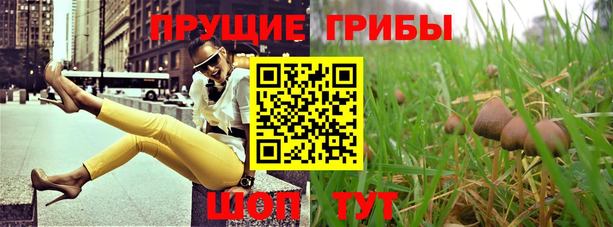 Верхняя Салда  Галлюциногенные грибы мицелий  наркотики  Галлюциногенные грибы GOLDEN TEACHER  Вход с VPN 