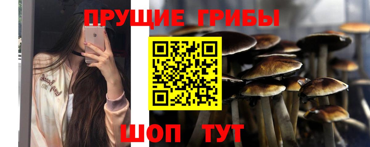 Галлюциногенные грибы Magic Shrooms Верхняя Салда